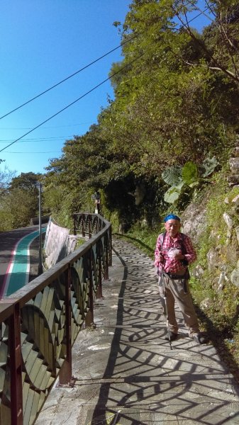【臺北大縱走7】貓空壺穴、優美的茶香步道804938