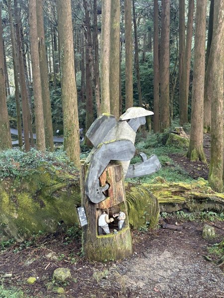 20251225塔山步道(大塔山)2970260