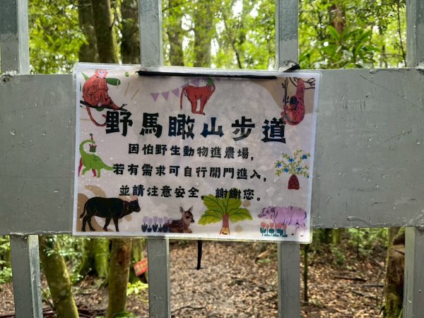 新竹 五峰 雪霸休閒農場 野馬瞰山步道2811513