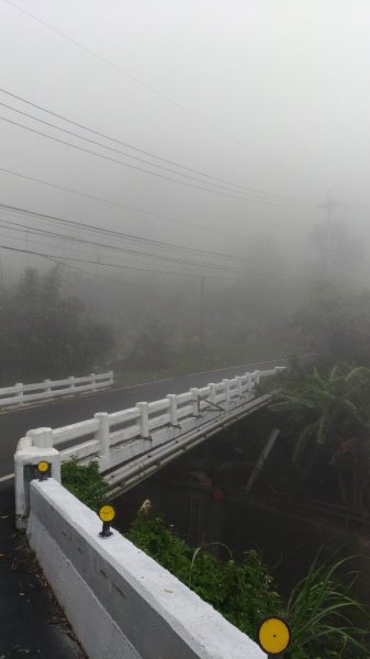 忠義山貴子坑步道510005