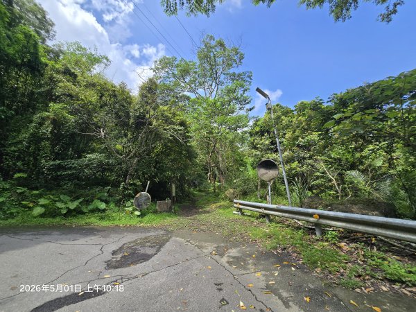 2026-05-01鳥嘴山(上島山)步道3046806