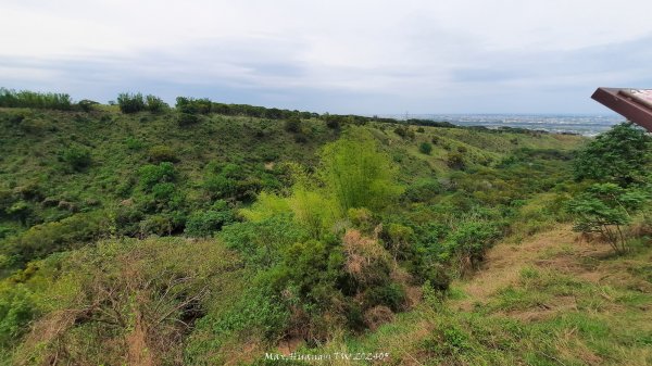 《台中》新觀景台｜竹坑南寮登山步道(南寮端起登)202405012493207