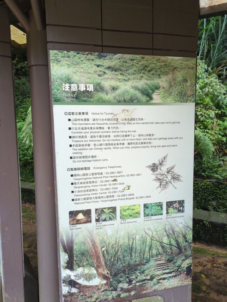 2025.04.27－金包里大路~小油坑縱走2771011