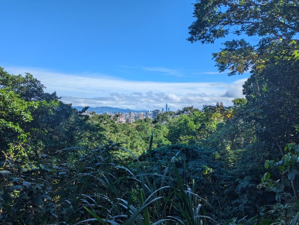 2026.01.25－微笑山線：【天上山系】烘爐地土地公段2994636