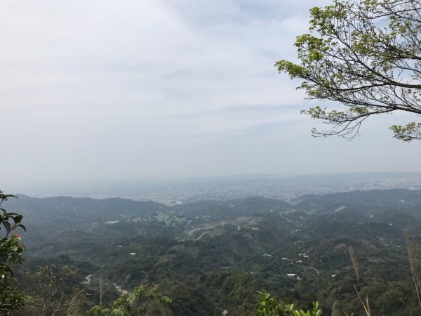 頭嵙山攻頂577448