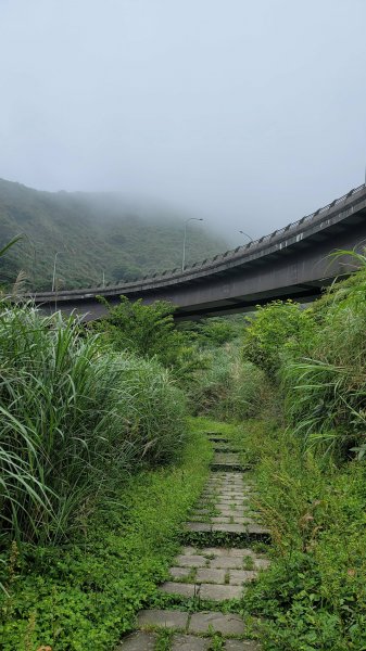 環七星山人車分道2147722