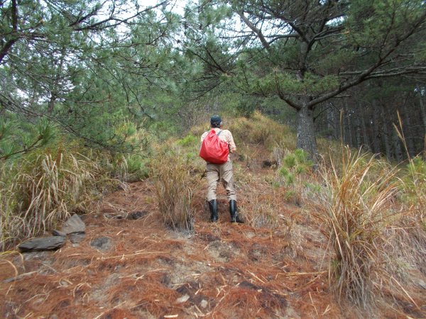 東閂岡山﹑梅松山﹑真巴烈山﹑麻加拉路山﹑摩里克安山1357347