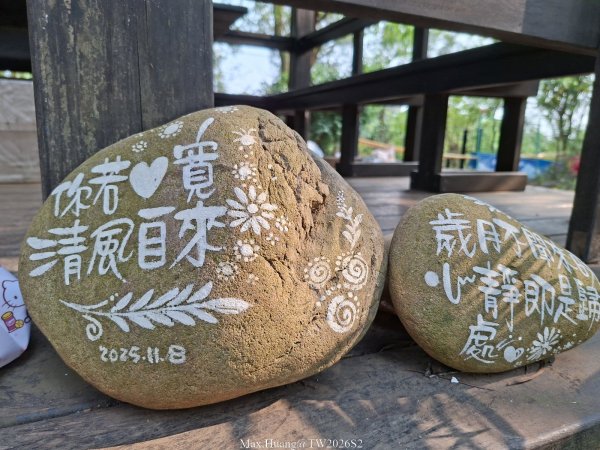 《台中》綠色隧道｜大肚環保公園登山步道O繞202604183038505