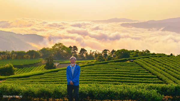 #坪林 #日出 #雲海 #茶園 4/103033091