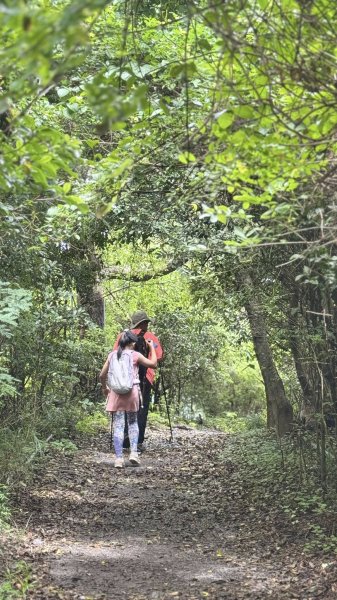 20250811未竟之小百岳里龍山2858817