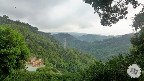 【豐原】三崁頂健康步道194719