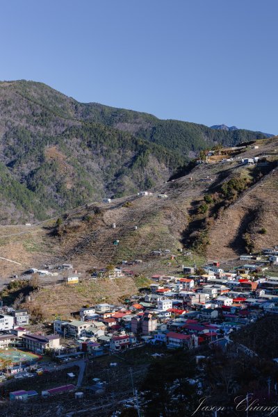 福壽山千櫻園櫻花季初開2717412