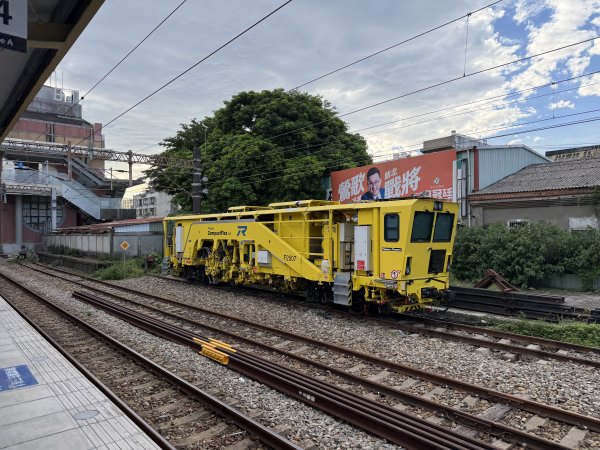 [微笑山線_第二段] 2026_0725 大棟山系_百年大榕樹3101563