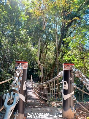 【台中和平】生態廊道。 雪山坑環線步道x巨人之手觀景點2954016