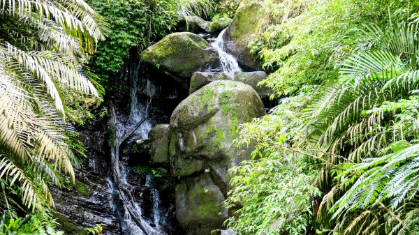 微笑山線銀河洞越嶺段2852816