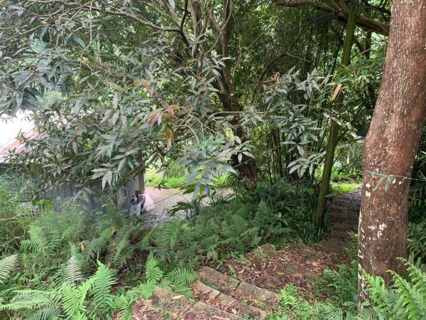 大崎棟古道、騎龍古道2772299