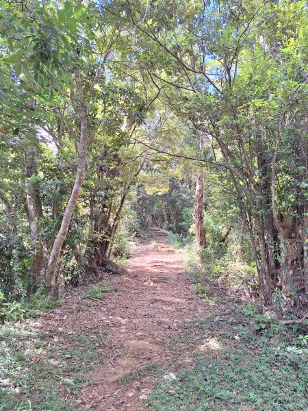 南澳朝陽步道小O202508312876496