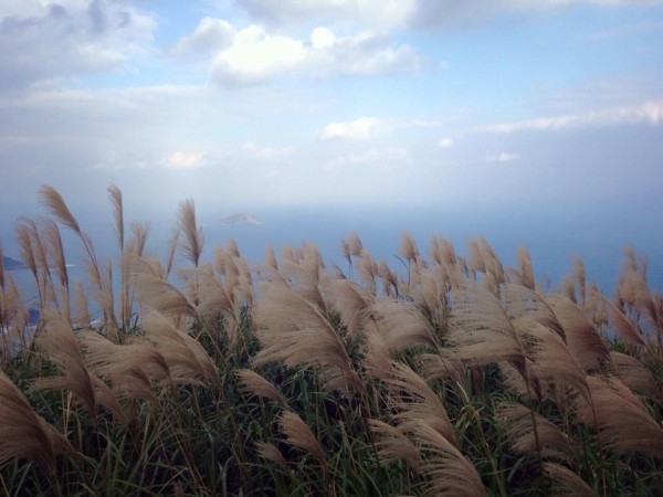 黃金稜線之首縱走7712