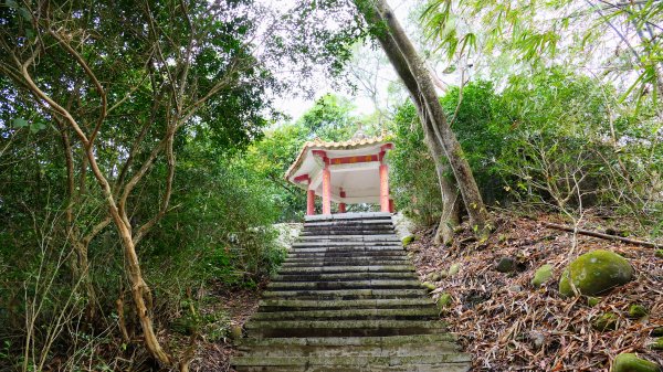 老崎古道(後花園步道)2676832