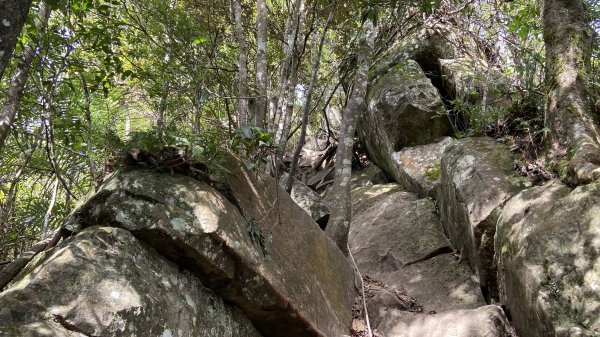 賽夏族區的向天湖山| Xiangtianhu |矮靈祭|峯花雪月2408464