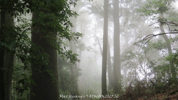 《雲林》望好望角｜石壁山嘉南雲峰步道(中側登山口）202506072805502
