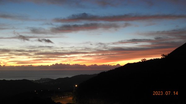 雲山水花鳥蝶 - 天龍國阿伯的日常，沒鳥也沒蝶槓龜 7/14&172217421