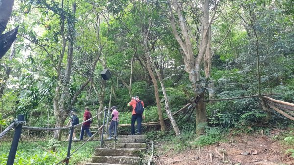 《台北》城市晨運｜虎山親山自然步道（松山慈惠堂）202505222795768