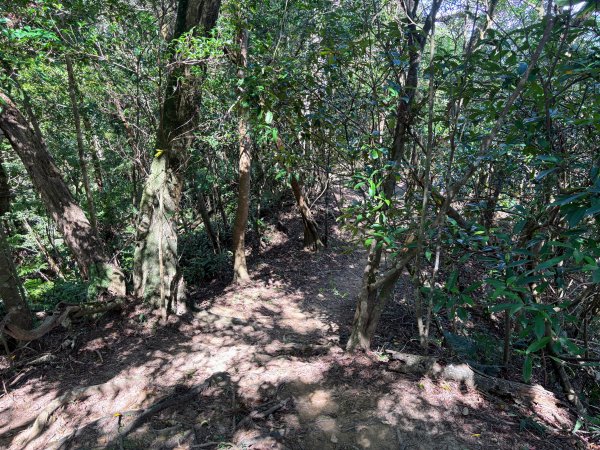 五分山系-望古瀑布段2896304