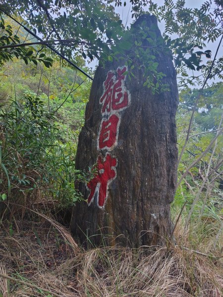 大棟山系南段 水利古道西口 上 竹高崙山 連走 鳥子嶺 坑仔內山 大崖山 下 龍目井農場2953208