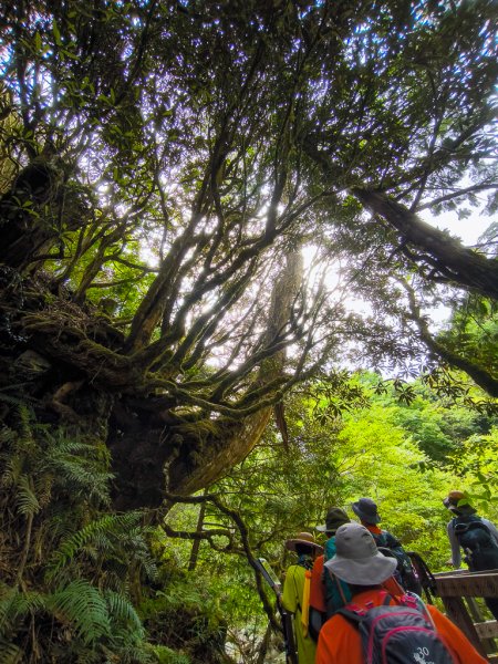 2025-05-17 羅葉尾溪秘境2792415