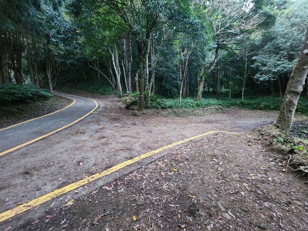 20260118騰龍山加里山O型2997496