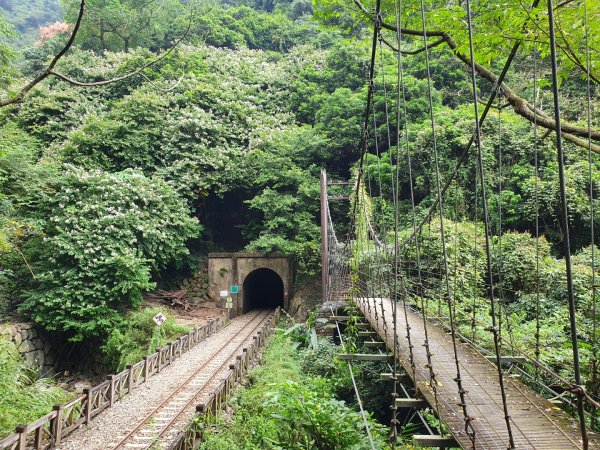 獨立山（小百岳）1148292