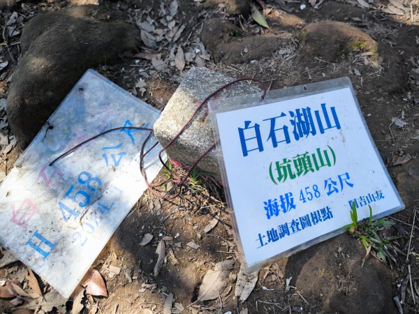 2026-02-22 內湖雙心縱走3006806