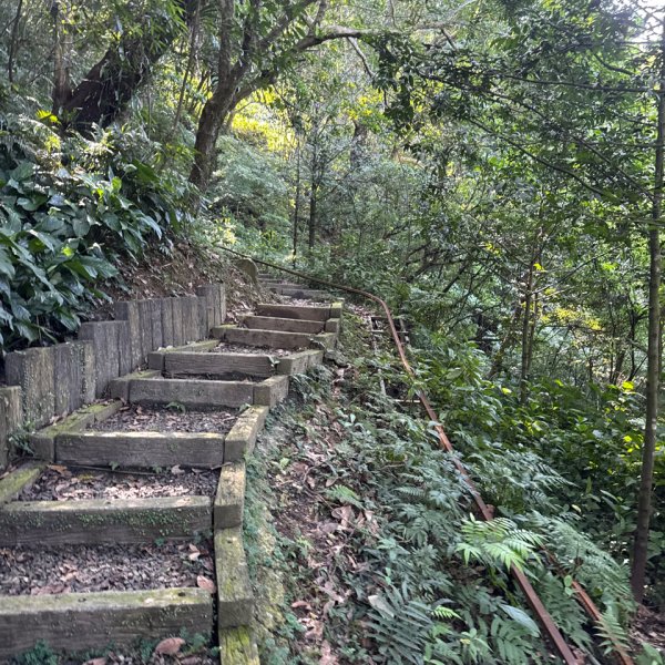 20260110 更寮古道(小百岳-土庫岳)2980769