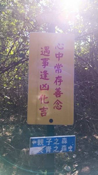 南山神壽：竹南海濱森林步道1901537