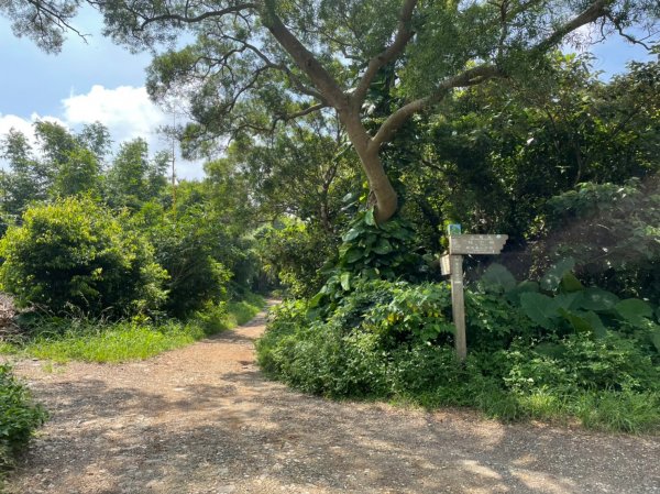 台北｜北投．士林 臺北大縱走第一段1487841