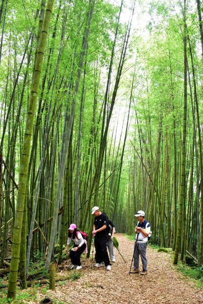 20260805阿里山石棹大凍山攀登3097057