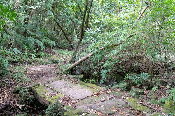 魚路古道北段406017