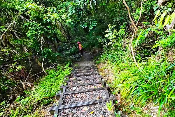 淡蘭古道中路百年山徑~暖東峽谷大環步道2846410