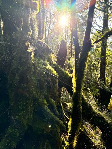 走入魔幻森林 探訪三星池與妹池2950151