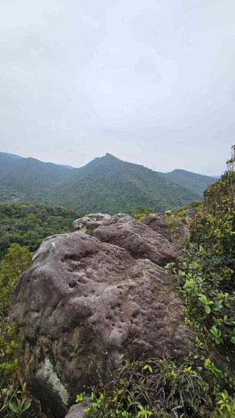 20260203石頭厝山-如意湖-彩虹橋稜線2996795