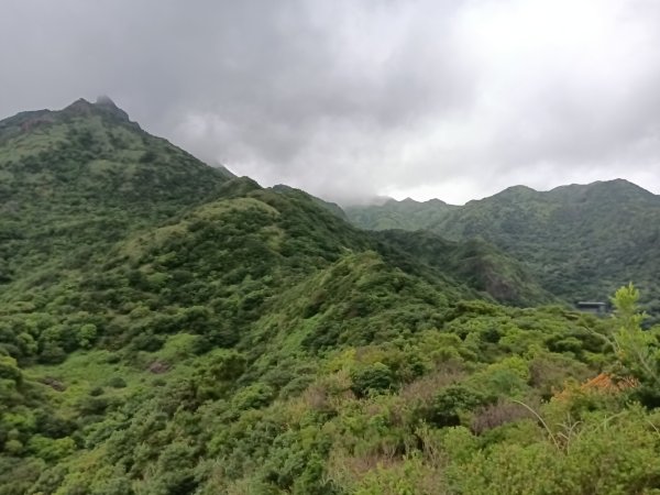 瑞芳區金瓜石砲台山+無耳茶壺山(黃金三稜)+煙囪(山)稜(黃金二稜)+水管路O型2926193