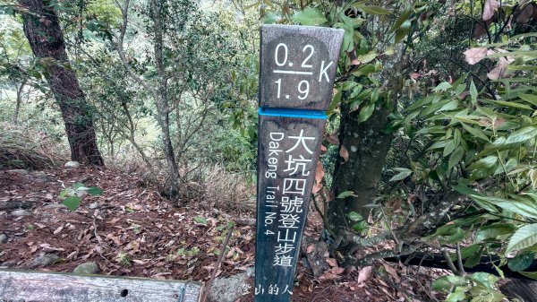 大坑4號「大魔王」正式回歸！3050744
