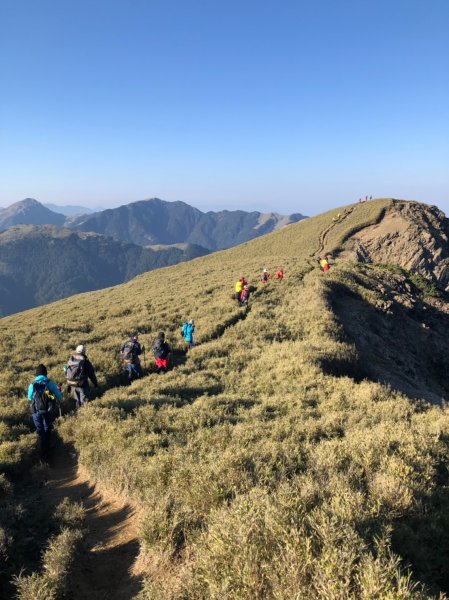 合歡山五座百岳賞杜鵑花587117