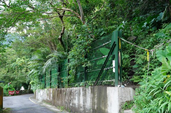 新北 烏來 烏來山、大桶山、四崁水山2829225