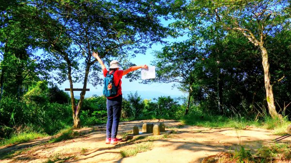 桃園石門山2916138