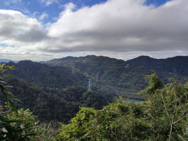 雙石縱走/大竹坑》油井窩山O行走1590848