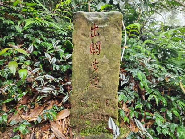 小百岳No.36⛰關刀山3050468