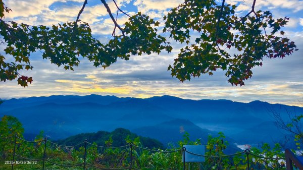 #馬那邦山 #琉璃光 #日出 #雲海 #山羌 #楓葉 10/25 & 11/12924628