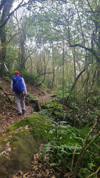 2025-01232淡蘭古道北二段(燦光寮古道到澳底)2696646